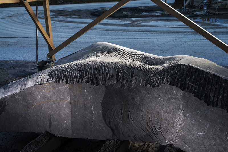 Suivi de la naissance d’une sculpture